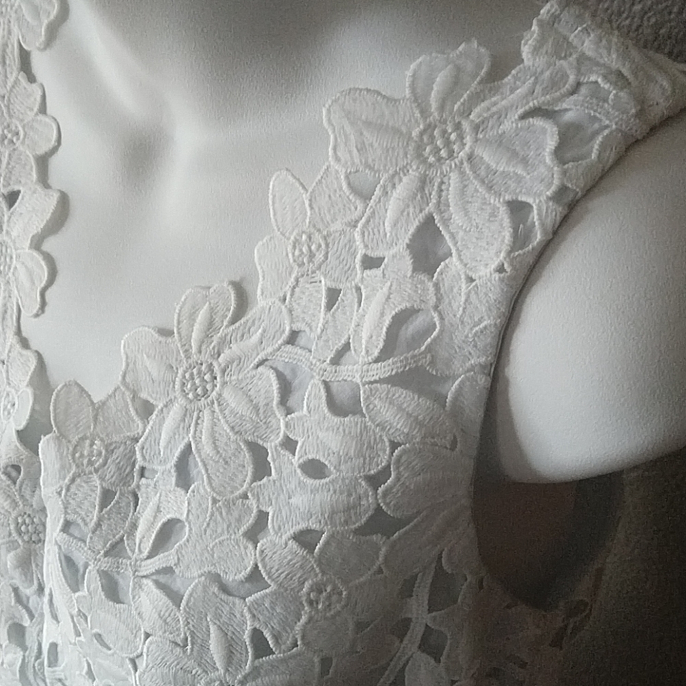 LOFT Lace Midi Dress - Picture 2 of 7